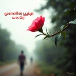 1000257750.jpg 1000257750.jpg